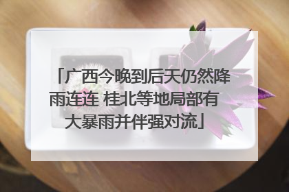 广西今晚到后天仍然降雨连连 桂北等地局部有大暴雨并伴强对流