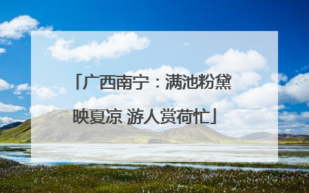 广西南宁：满池粉黛映夏凉 游人赏荷忙