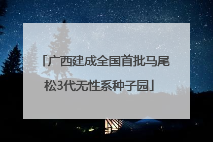 广西建成全国首批马尾松3代无性系种子园