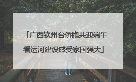 广西钦州台侨胞共迎端午 看运河建设感受家国强大