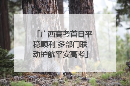 广西高考首日平稳顺利 多部门联动护航平安高考