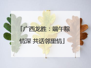 广西龙胜：端午粽情深 共话邻里情