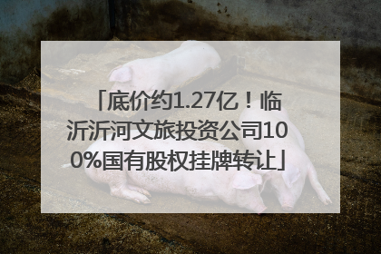 底价约1.27亿!临沂沂河文旅投资公司100%国有股权挂牌转让
