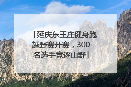 延庆东王庄健身跑越野赛开赛，300名选手竞逐山野
