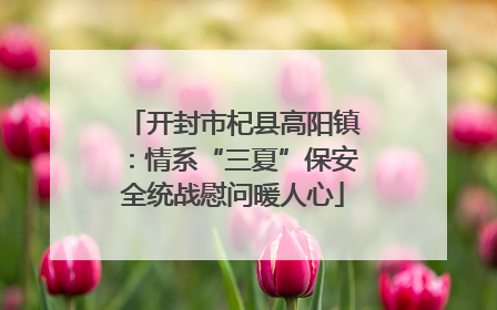 开封市杞县高阳镇：情系“三夏”保安全统战慰问暖人心
