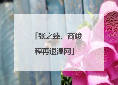 张之臻、商竣程再退温网