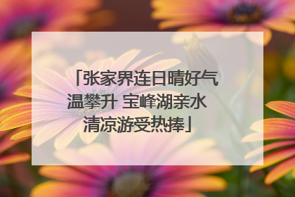 张家界连日晴好气温攀升 宝峰湖亲水清凉游受热捧