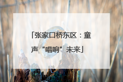 张家口桥东区：童声“唱响”未来