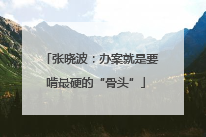 张晓波：办案就是要啃最硬的“骨头”