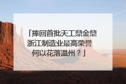 捧回首批天工鼎金鼎 浙江制造业最高荣誉何以花落温州？