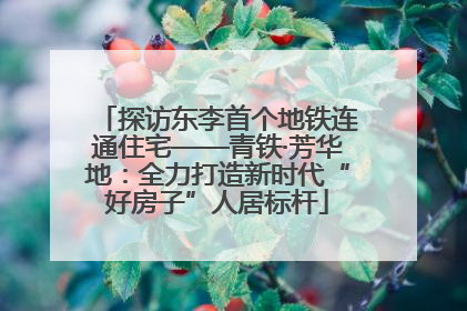 探访东李首个地铁连通住宅——青铁·芳华地：全力打造新时代“好房子”人居标杆