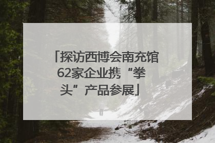 探访西博会南充馆 62家企业携“拳头”产品参展