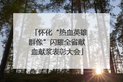 怀化“热血英雄群像”闪耀全省献血献浆表彰大会