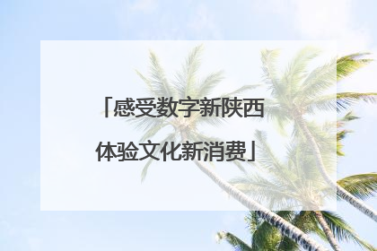 感受数字新陕西 体验文化新消费