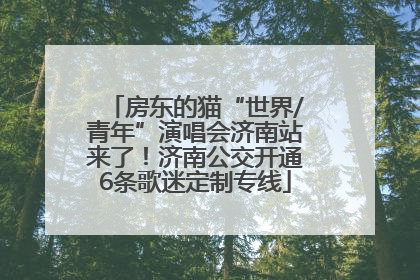 房东的猫“世界/青年”演唱会济南站来了！济南公交开通6条歌迷定制专线