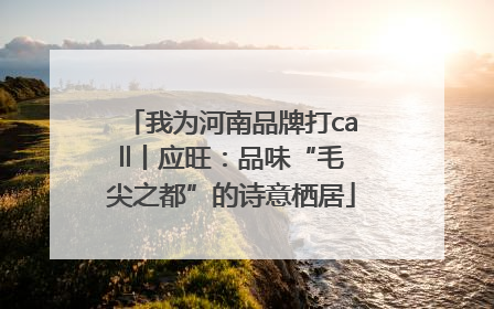 我为河南品牌打call丨应旺：品味“毛尖之都”的诗意栖居