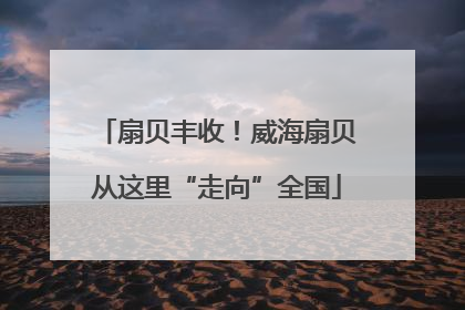 扇贝丰收！威海扇贝从这里“走向”全国