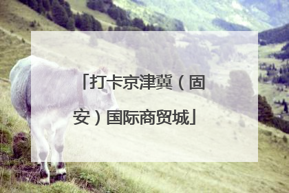 打卡京津冀（固安）国际商贸城