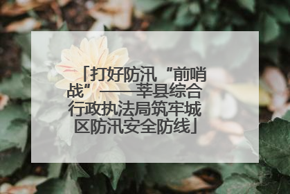 打好防汛“前哨战”——莘县综合行政执法局筑牢城区防汛安全防线