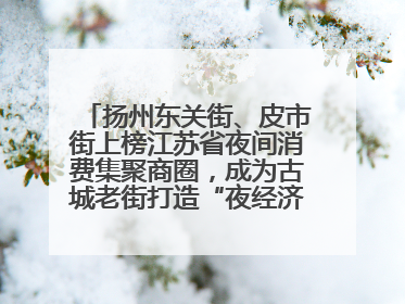 扬州东关街、皮市街上榜江苏省夜间消费集聚商圈，成为古城老街打造“夜经济”的样本