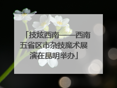 技炫西南——西南五省区市杂技魔术展演在昆明举办