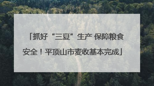 抓好“三夏”生产 保障粮食安全！平顶山市麦收基本完成