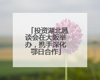 投资湖北恳谈会在大阪举办，携手深化鄂日合作