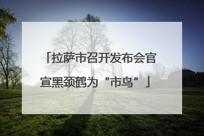 拉萨市召开发布会官宣黑颈鹤为“市鸟”