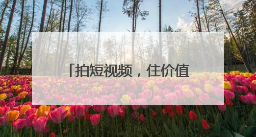 拍短视频，住价值3699元卡通房！今夏，舟山超人气鹈鹕酒店等你来！