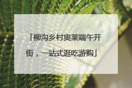 柳沟乡村奥莱端午开街，一站式逛吃游购
