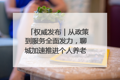 权威发布｜从政策到服务全面发力，聊城加速推进个人养老金制度落地