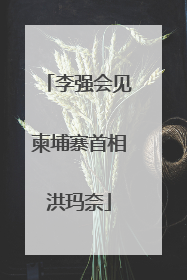 李强会见柬埔寨首相洪玛奈