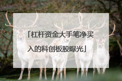 杠杆资金大手笔净买入的科创板股曝光