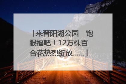 来晋阳湖公园一饱眼福吧！12万株百合花热烈绽放……