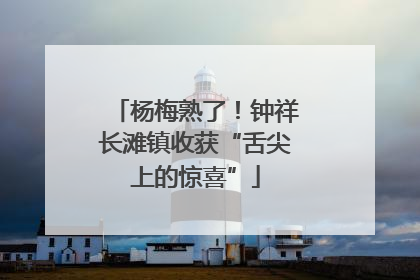 杨梅熟了！钟祥长滩镇收获“舌尖上的惊喜”