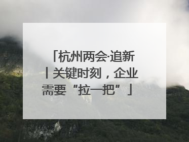 杭州两会·追新丨关键时刻，企业需要“拉一把”