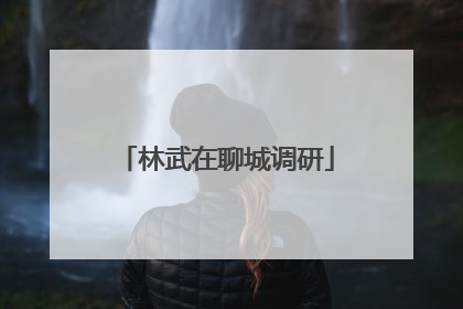 林武在聊城调研