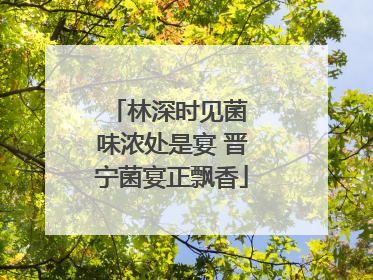 林深时见菌 味浓处是宴 晋宁菌宴正飘香