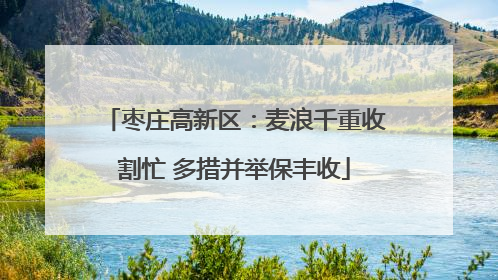 枣庄高新区：麦浪千重收割忙 多措并举保丰收