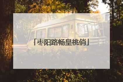 枣阳路畅皇桃俏