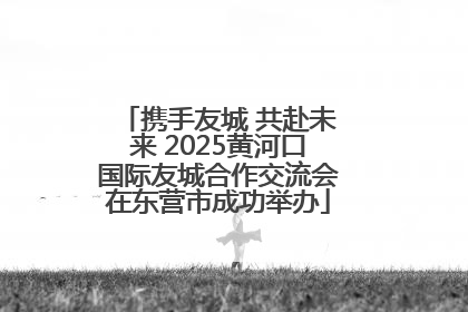 携手友城 共赴未来 2025黄河口国际友城合作交流会在东营市成功举办