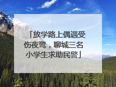 放学路上偶遇受伤夜鹭，聊城三名小学生求助民警