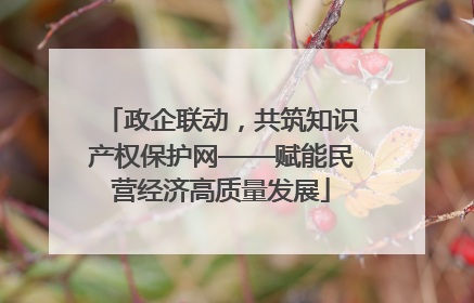 政企联动，共筑知识产权保护网——赋能民营经济高质量发展