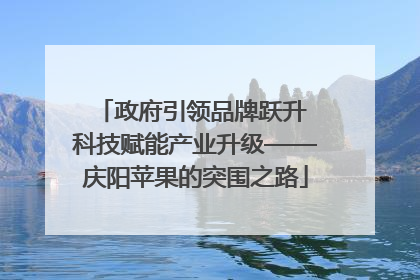 政府引领品牌跃升 科技赋能产业升级——庆阳苹果的突围之路