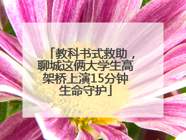 教科书式救助，聊城这俩大学生高架桥上演15分钟生命守护