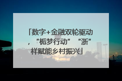 数字+金融双轮驱动，“栀梦行动”“浙”样赋能乡村振兴
