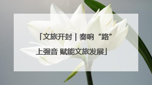 文旅开封｜奏响“路”上强音 赋能文旅发展