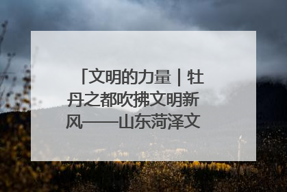 文明的力量｜牡丹之都吹拂文明新风——山东菏泽文明创建一线见闻