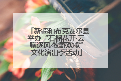 新疆和布克赛尔县举办“石榴花开·云骥逐风·牧野欢歌”文化演出季活动