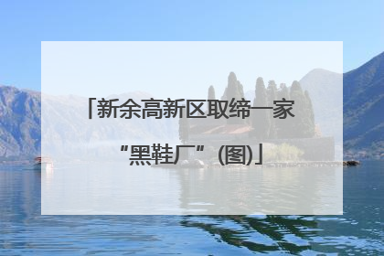 新余高新区取缔一家“黑鞋厂”(图)